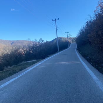 Petek Bungalow Sahte Konum ve Güvensiz Reklam