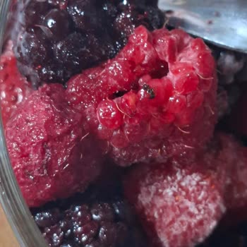 Dondurulmuş Meyve Paketi Tüylenme Ve Karınca İçeriyor