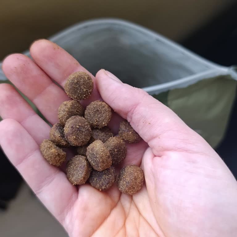 Sert Tanecikli Kedi Maması Kullanılamıyor, İade Talebim Reddedildi