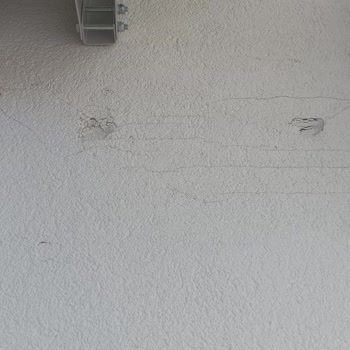 Simfer Servisi Dış Cepheyi Mahvetti, Tam Onarım Talep Ediyorum