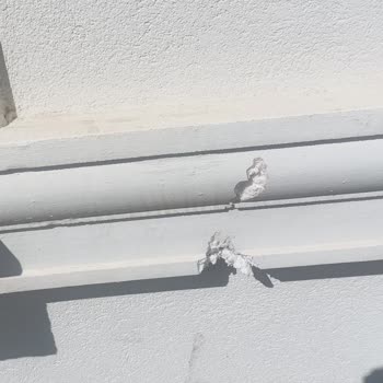 Simfer Servisi Dış Cepheyi Mahvetti, Tam Onarım Talep Ediyorum