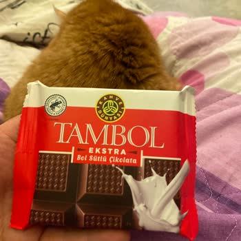 Kahve Dünyası Tambol Ekstra Sütlü Çikolatada Lezzet Değişikliği: Üretim Sorunu Şikayeti