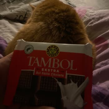 Kahve Dünyası Tambol Ekstra Sütlü Çikolatada Lezzet Değişikliği: Üretim Sorunu Şikayeti