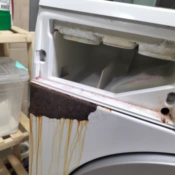 Siemens Çamaşır Makinemde Deterjan Haznesi Çürümesi Üretim Hatası