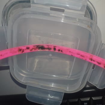 Lav Kapaklarındaki Silikon Kısmı Küfleniyor Ve Sağlığı Tehdit Ediyor