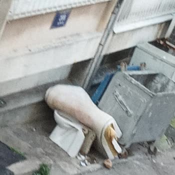 Mithatpaşa Mahallesi Çöp Konteyneri Yanına Atılan Eşyalar İçin Uyarı Levhası Ve Temizlik Talebi