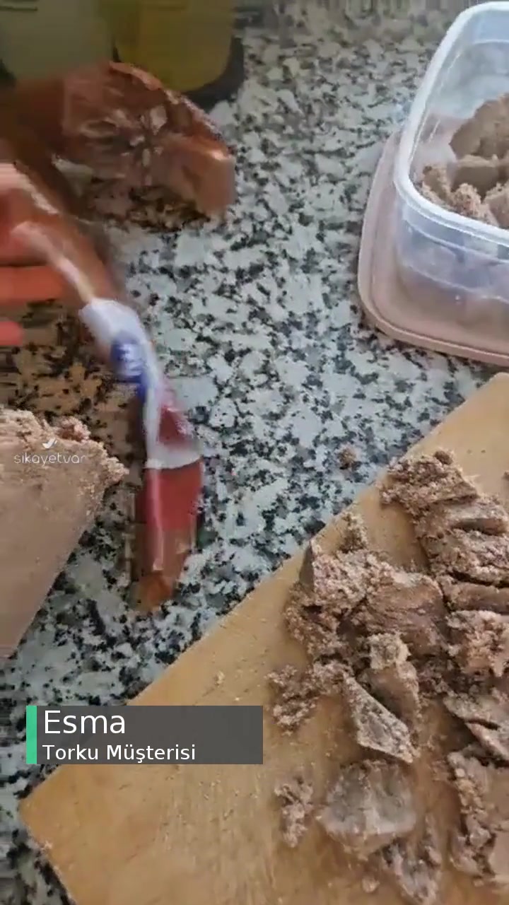 Torku Dana Kavurmadan Saç Çıktı! videonun kapak resmi