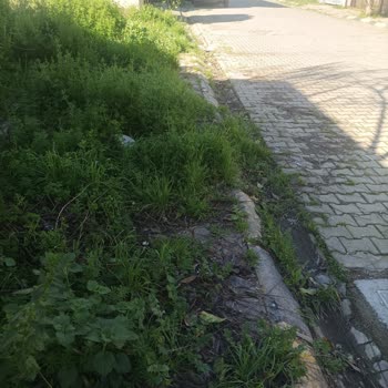 Efeler Mahallesi Çökük Yol Ve Kaldırımlarıyla Yaya Güvenliğini Riske Atıyor