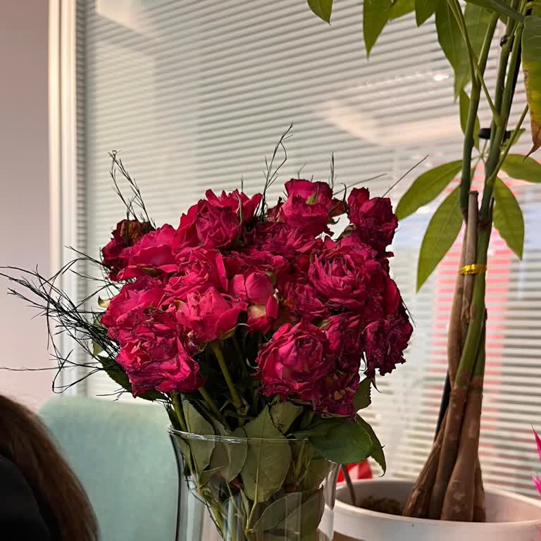 Teslim Edilen Çiçek Aranjmanı Görselden Farklı Ve Solmuş, Müşteri Hizmetinden Cevap Yok