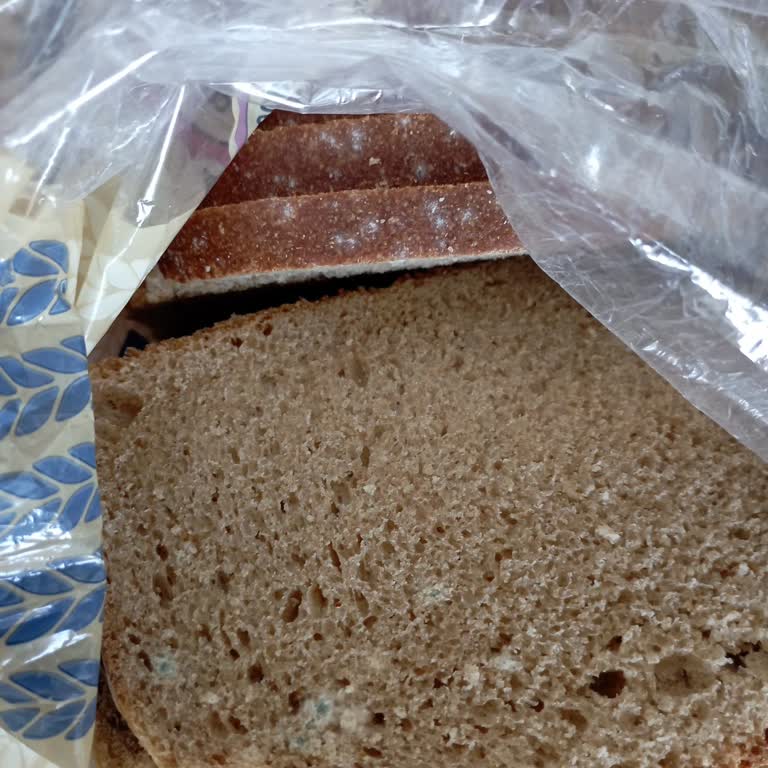 Küflü Ekmek Satışı Sağlık Riski Ve Yetersiz Müşteri Hizmeti