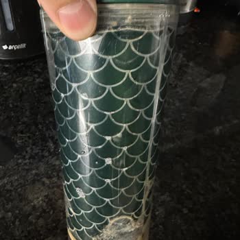 Starbucks Termosu Bir Hafta İçinde Kaplaması Bozuldu Ve İade Talebi