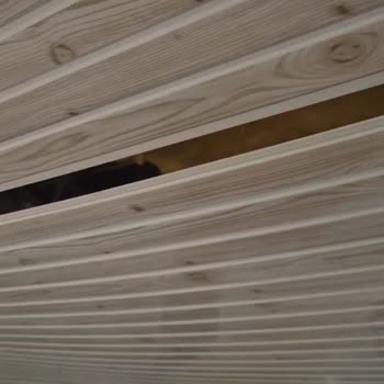 Hasçelik Prefabrik Hem Mağdur Etti Hem De Güvenimi Sarstı