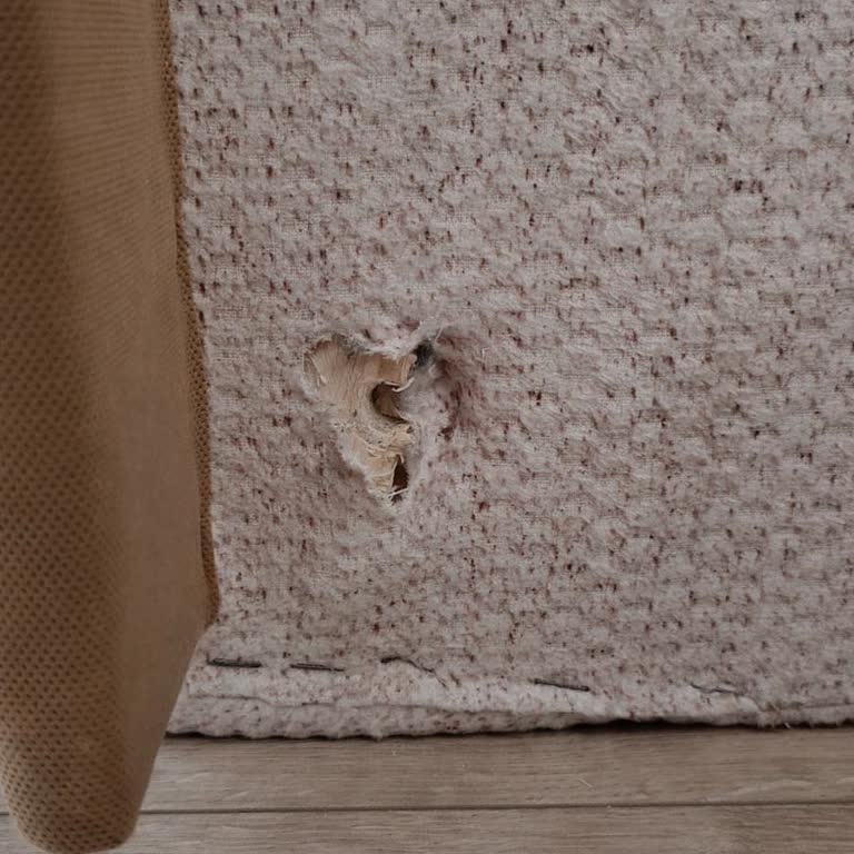 Bohem Oturma Grubu Gıcırtısı Ve Deformasyon Sorunu, Tam Değişim Talebi