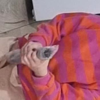 N11'de Defolu Jurassic World Figürü İçin Ücret İadesi Ve Değişim Talebi