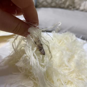 Hakmar Pişmaniyede Yabancı Madde Tespiti Ve Sağlık Endişesi