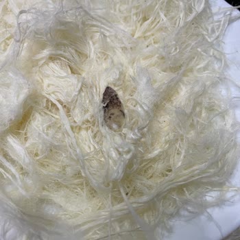 Hakmar Pişmaniyede Yabancı Madde Tespiti Ve Sağlık Endişesi