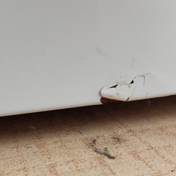 Garanti Kapsamındaki Bosch Çamaşır Makinesinde Boya Soyulması Ve 900 TL Servis Ücreti İtirazı