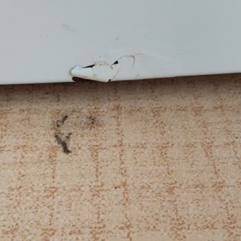 Garanti Kapsamındaki Bosch Çamaşır Makinesinde Boya Soyulması Ve 900 TL Servis Ücreti İtirazı