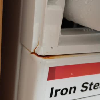 Garanti Kapsamındaki Bosch Çamaşır Makinesinde Boya Soyulması Ve 900 TL Servis Ücreti İtirazı