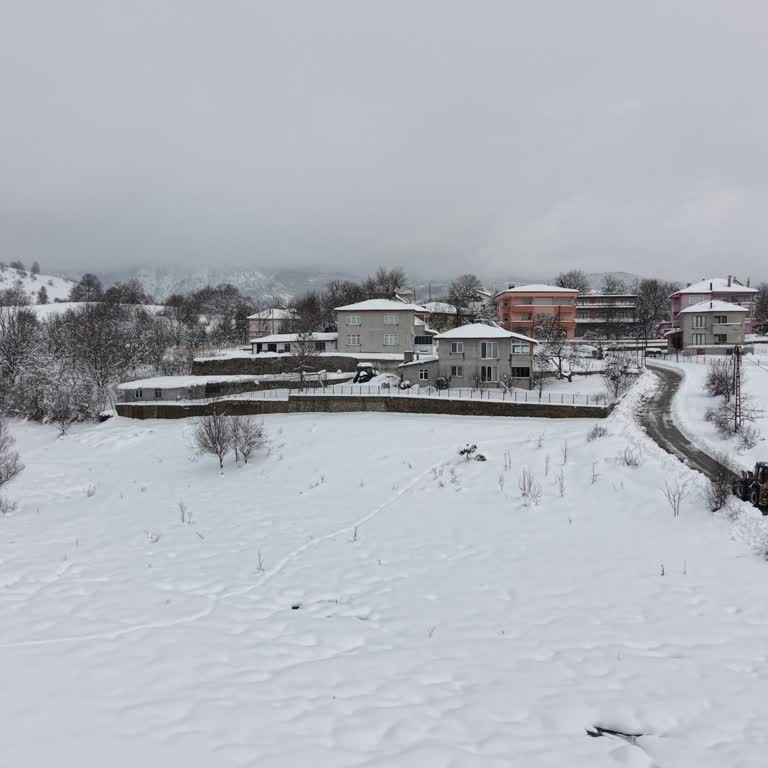 Hepsiburada'da 60 Km Yolculuk Ve Kedilere Aç Bırakan Teslimatsız Sipariş