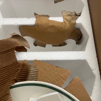 Nemli Ve Küflü Kutu, Kırık Tabak: Müşteri Hizmetlerinden Cevap Yok