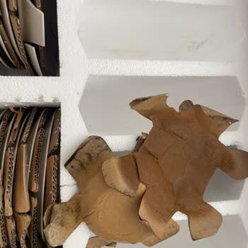 Nemli Ve Küflü Kutu, Kırık Tabak: Müşteri Hizmetlerinden Cevap Yok