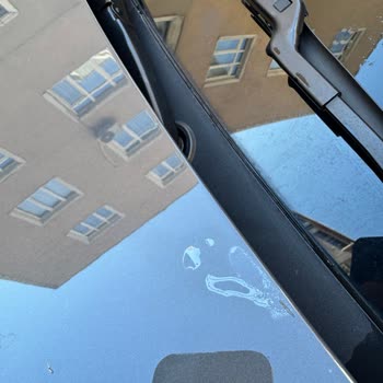 Sağ Ön Çamurluktaki PPF'de Su Sızdıran Küçük Delik Garanti Kapsamına Alınmalı