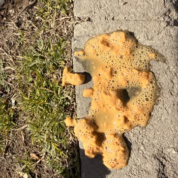 Son Kullanma Tarihine Rağmen Katı Parçacıklı Süt Ve Cevapsız Müşteri Hizmetleri