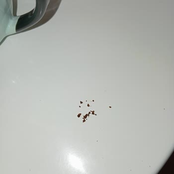Migros’tan Alınan Tchibo Kahvesinde Tortu Benzeri Parçalar Belirlendi
