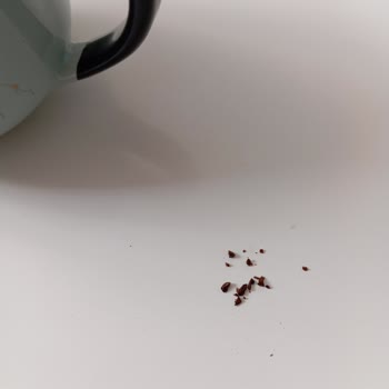 Migros’tan Alınan Tchibo Kahvesinde Tortu Benzeri Parçalar Belirlendi