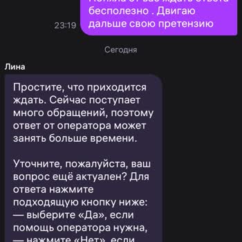 Wildberries не доставил заказ №210803674 и игнорирует обращения в поддержку