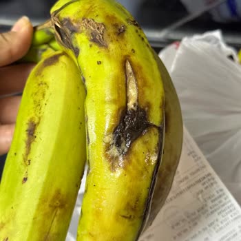 Muz Ve Sarımsakta Küf Ücret İadesi Ve Sorumluların İşlem Görmesi Talebi