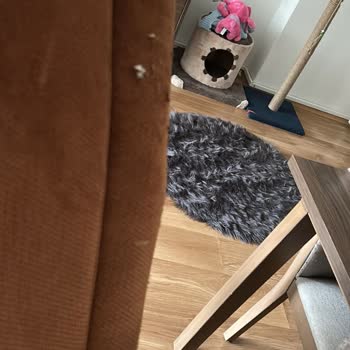 Haytap Belgesi Şartı Bildirilmediği İçin Kumaş Değişimi Gecikiyor