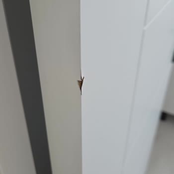 Kapı Hasarı Ve Saygısız İletişim Nedeniyle Teslimat Şikayeti