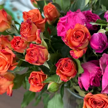 Geciken Teslimat Ve Bozulmuş Çiçekler İçin İade Talebi