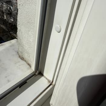 Dezenfeksiyon Sözünü Tutmayan Temizlik Şirketi Ve Hijyen Dışı Uygulamalar