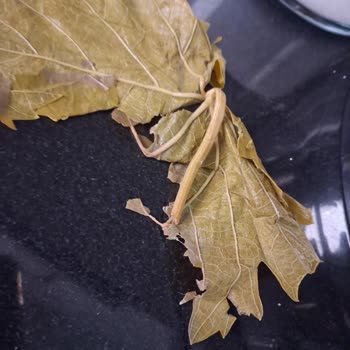 Trendyol Yöresel Malatya Pazarı Ürünler Hayal Kırıklığına Uğrattı