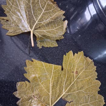 Trendyol Yöresel Malatya Pazarı Ürünler Hayal Kırıklığına Uğrattı