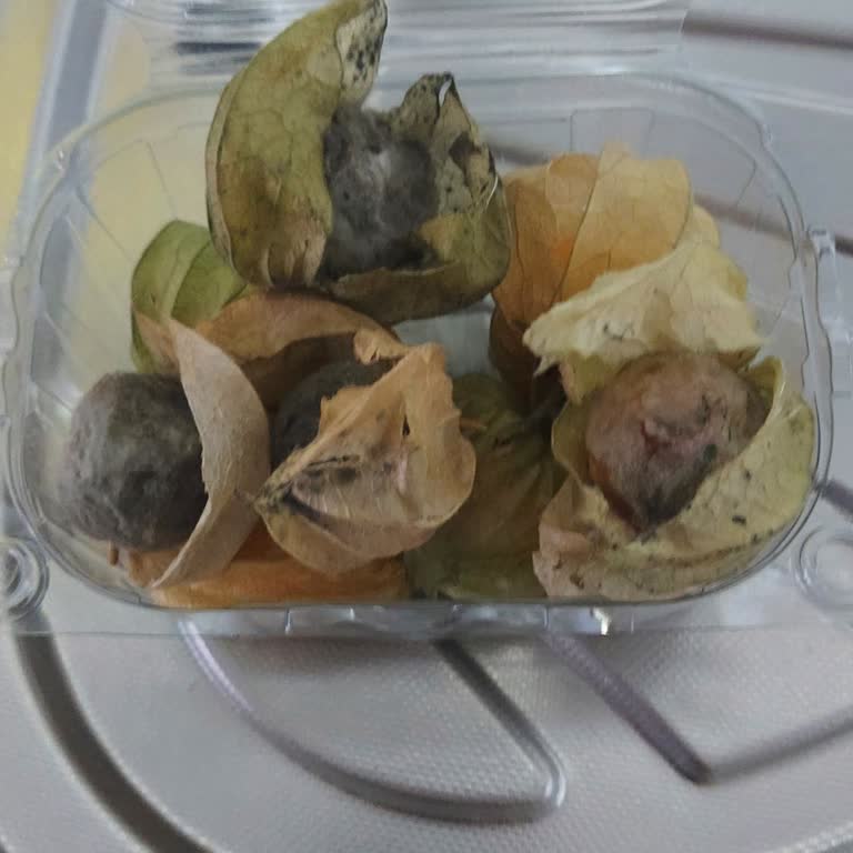 Küflü Kiraz Ürünü İçin Eksik İade