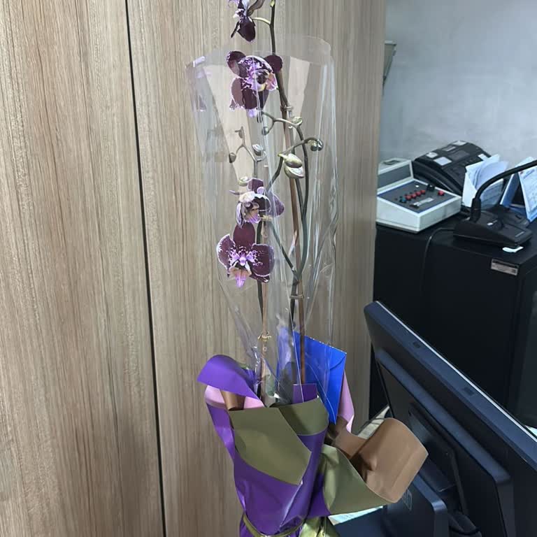 Sipariş Edilen Double Purple Orkide Yerine Kalitesiz Çalı Gönderimi Ve Müşteri Hizmetleri İhmali