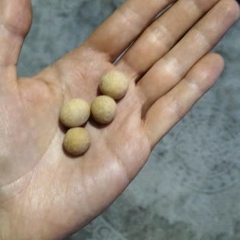 Bebek İçin Satın Alınan Çıtır Atıştırmalıkta Yabancı Madde