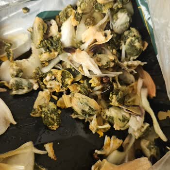 Balık Dünyası’nın Temizlenmemiş ‘Pişirmeye Hazır’ Midye Ürünü Etiket Sorunu