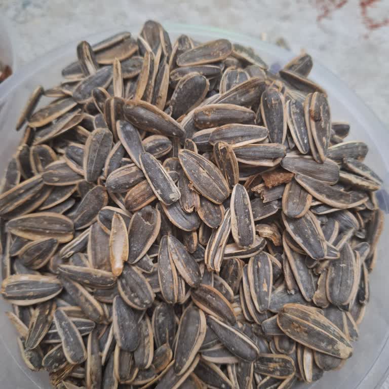 Amigo Marka Çekirdeklerde Bozukluk Ve Boş Çekirdek Sorunu