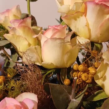 Solmuş Çiçek Teslimatıyla Mahcup Oldum, İade Talep Ediyorum