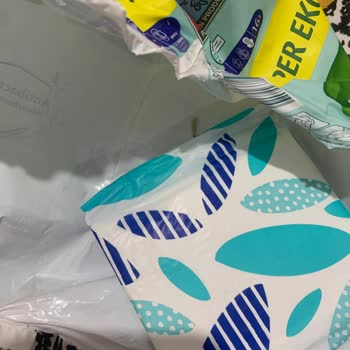 Molped Hijyen Pedinde Böcek Sorunu