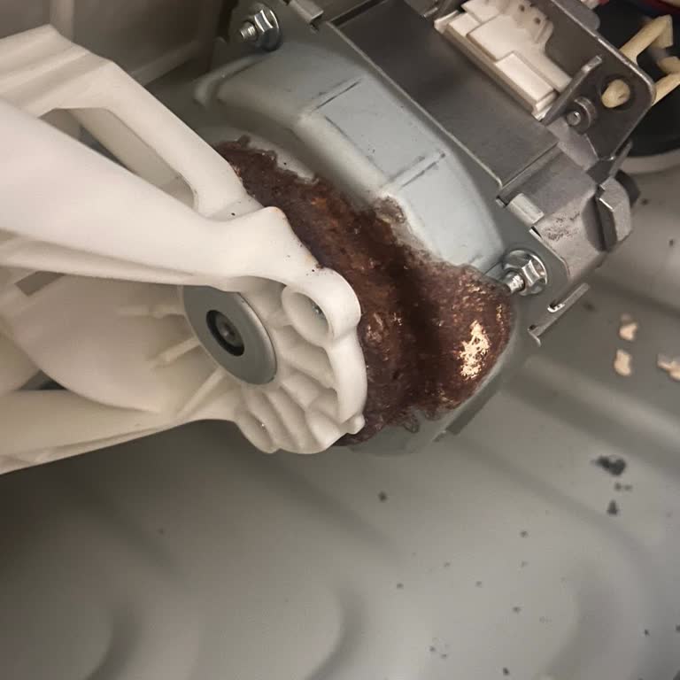 Samsung Çamaşır Makinesinde Motor Arızası İçin Servis Ücreti Talebi Mağduriyet Yaratıyor