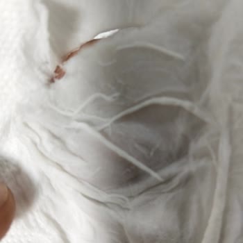 Maylo Süper Bambu Üç Katlı Tuvalet Kağıdı Nemde Dağılıyor Ve Hijyen Endişesi Yaratıyor