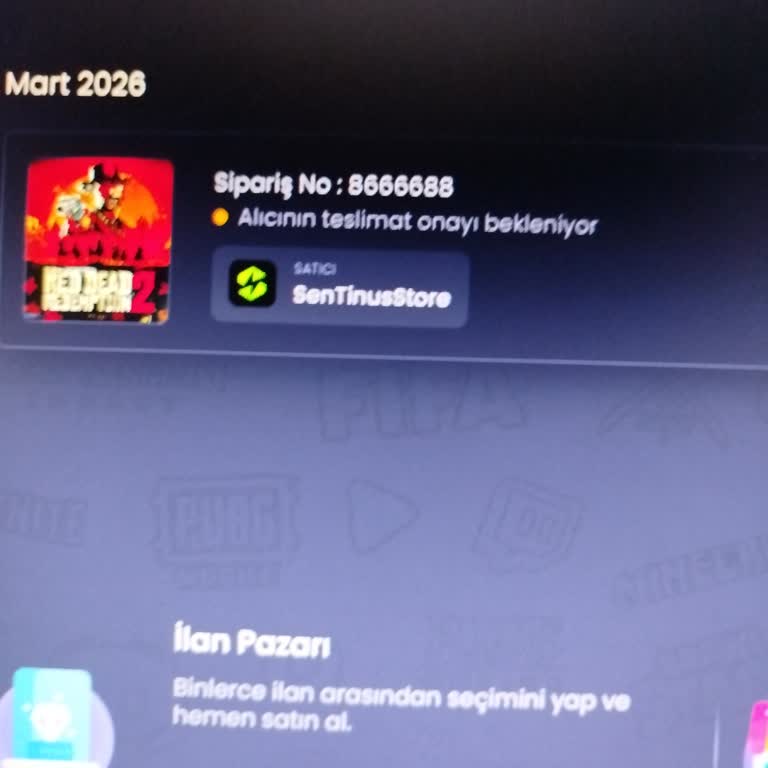 Sentinus Store'dan Satın Alınan Red Dead Redemption 2 Hesabının Rockstar Şifresi Eksikliği Ve İade Talebi