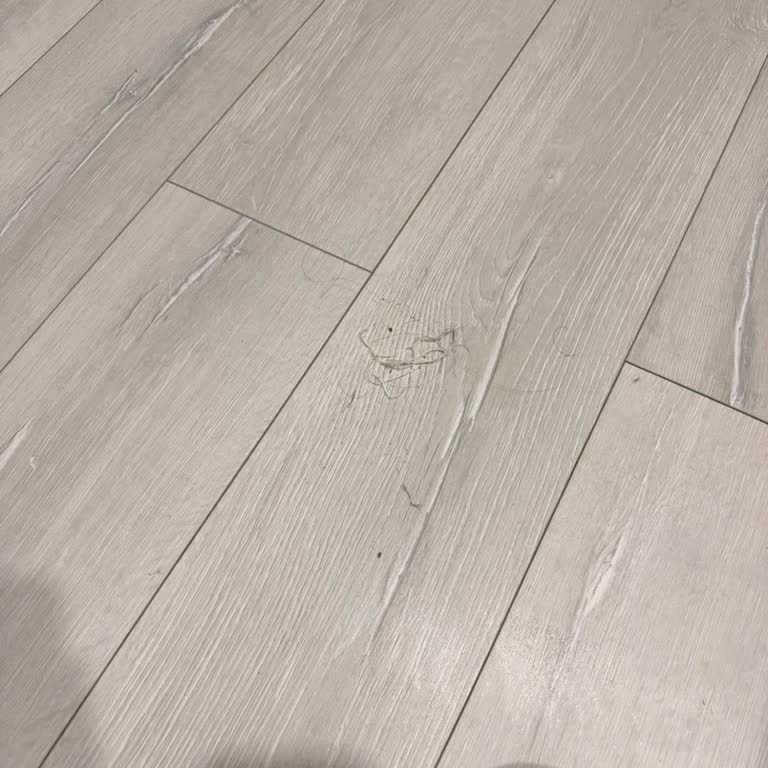 Philips Robot Süpürge Hatalı Ve Satıcı Çözüm Sunmuyor: İade Ve Taksit İptali Talebi