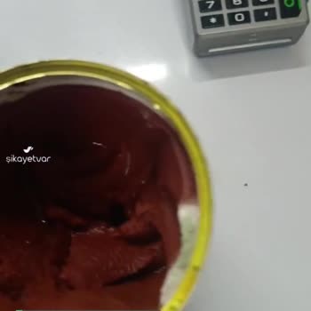 Küflenen Öncü Domates Salçası